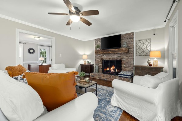 Tips for Choosing the Right Pet for Your Home in the UK