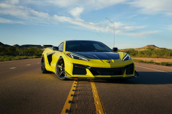 How Can UK Pet Owners Benefit From Adopting Animals?